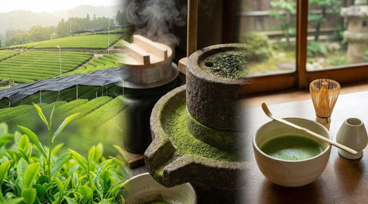 Matcha collage: tea fields, stone grinding, and a prepared bowl.